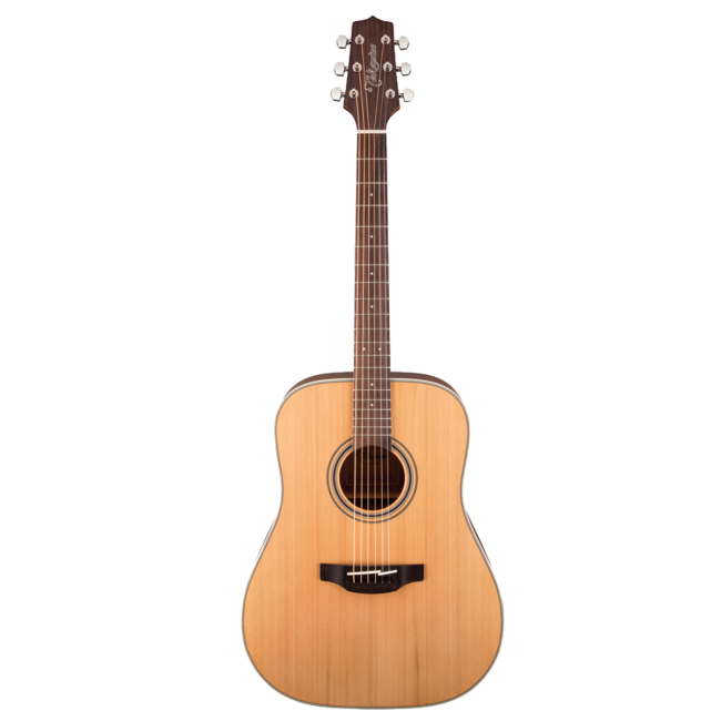 Takamine G20 Acoustic Guitar Pickup